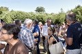 Cliquer pour afficher la photo...