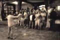 Cliquer pour voir la video...
